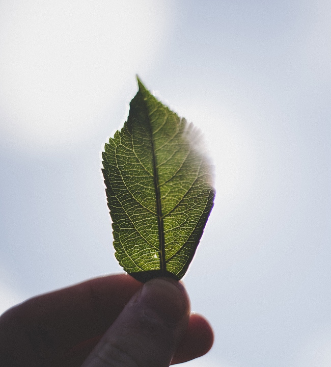 Vorania | Sostenibilidad